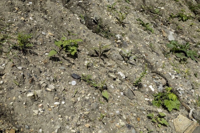 Heavy Fill (Loam/Clay)